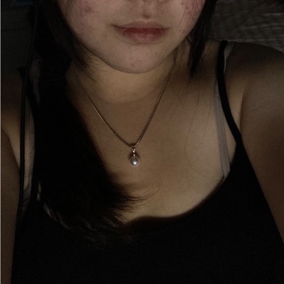 splotter